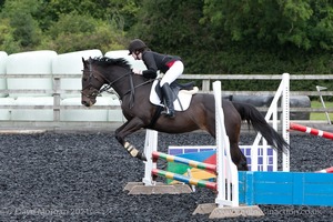 Class 3 -  Fences not above 2'3